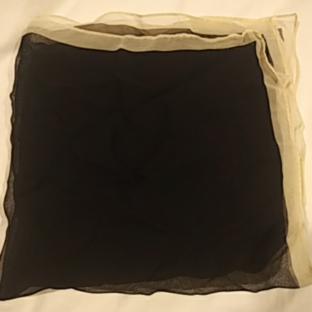 Ann Taylor scarf